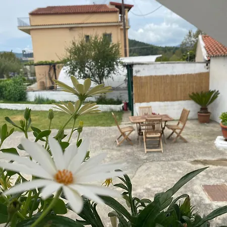 Roula S Cozy With Private Yard & Parking Apartamento